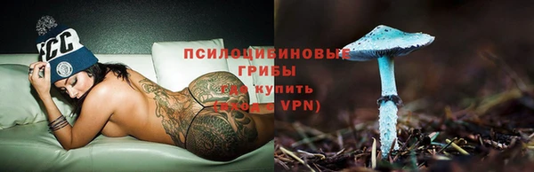 ГАЛЛЮЦИНОГЕННЫЕ ГРИБЫ Гусь-Хрустальный