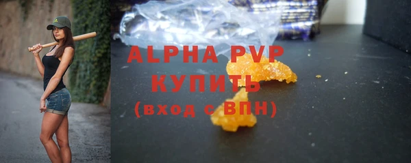 ECSTASY Гусев