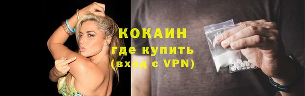 шишки Пестово