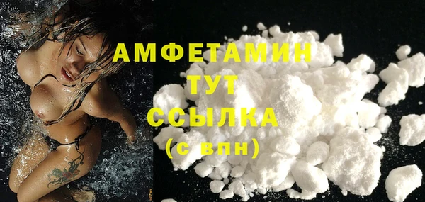 шишки Пестово