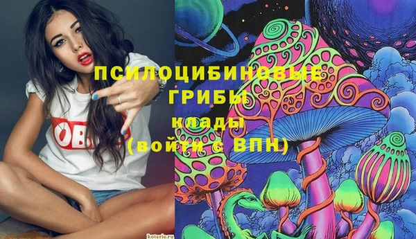 марки lsd Пересвет