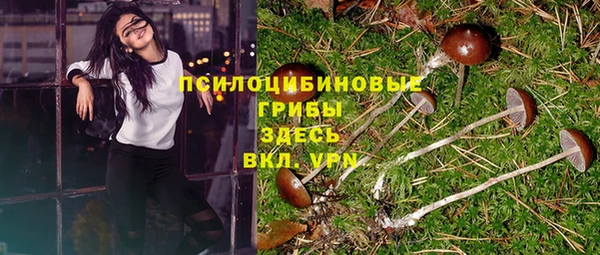 марки lsd Пересвет